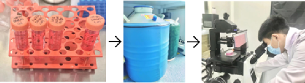 d791773f0e6518ee385a32a5eef8a695.png