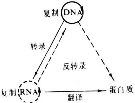 b88ff0af67c121d749fd036bd4d770f5.jpg