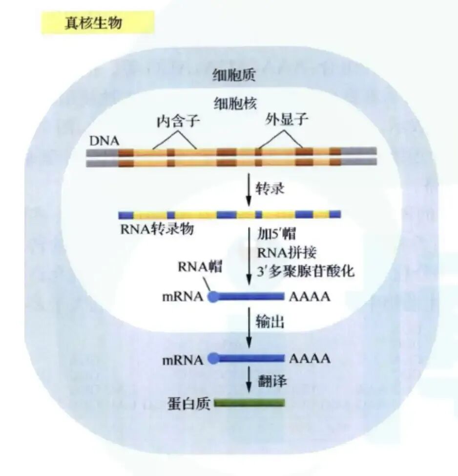 ceb9931cb5c10bff3ac09cf5bfebfb88.jpg